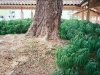 20140407003