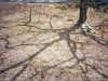 20140407005