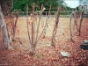 20140407010