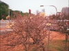 20140407012