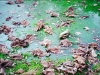 20140407016